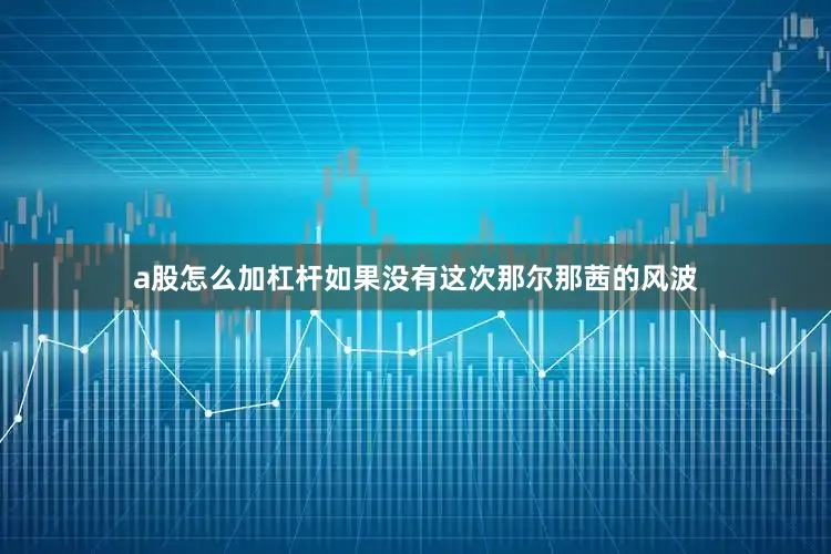 a股怎么加杠杆如果没有这次那尔那茜的风波